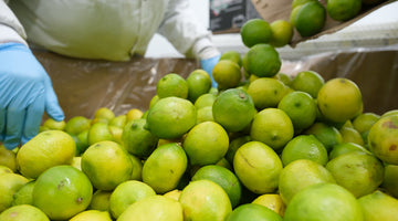 Juicing for Change: Inside LOOP Mission’s Production Process that’s Fighting Food Waste