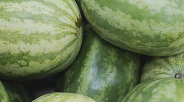 Unveiling the Sweet Truth: Debunking Common Sugar Myths